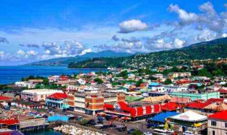 ⋆ 10 أفكار تجارية فريدة من نوعها في دومينيكا ⋆ ضامن أعمال