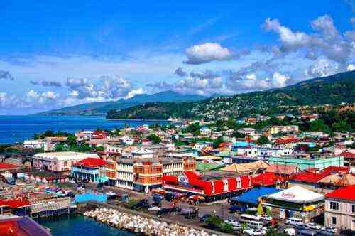 ⋆ 10 أفكار تجارية فريدة من نوعها في دومينيكا ⋆ ضامن أعمال