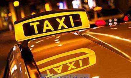 ⋆ نموذج لخطة عمل سيارات الأجرة للدراجات ⋆ ضامن الأعمال