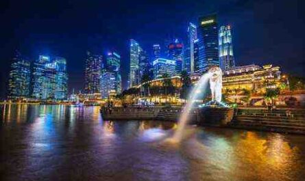 ⋆ 11 فكرة عمل رائعة في سنغافورة ⋆ ضامن الأعمال
