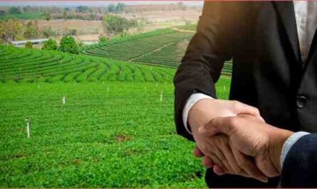 سليت تركيا الزراعة: خطة بدء العمل للمبتدئين