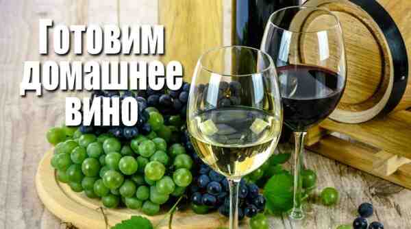 كيف تبدأ أعمال تصنيع نبيذ العنب
