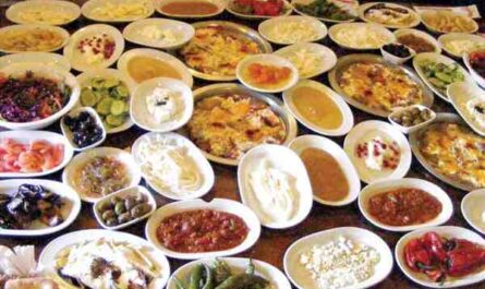 تغذية وسقي تركيا: كيفية إطعام وري تركيا