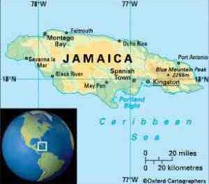 ماشية الأمل في جامايكا: الخصائص ومعلومات السلالة الكاملة