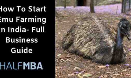 الزراعة Emu في الهند: كيف تبدأ ودليل الأعمال الكامل للمبتدئين