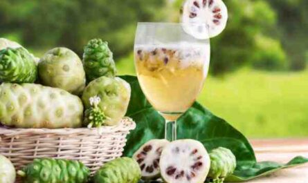 خطة عمل معالجة عصير الفاكهة في الهند