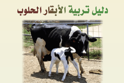 كيفية تربية أبقار الألبان (دليل المبتدئين)