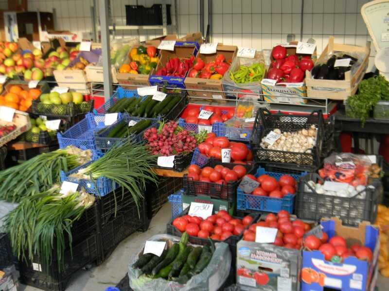 Пример за бизнес план за износ на плодове и зеленчуци