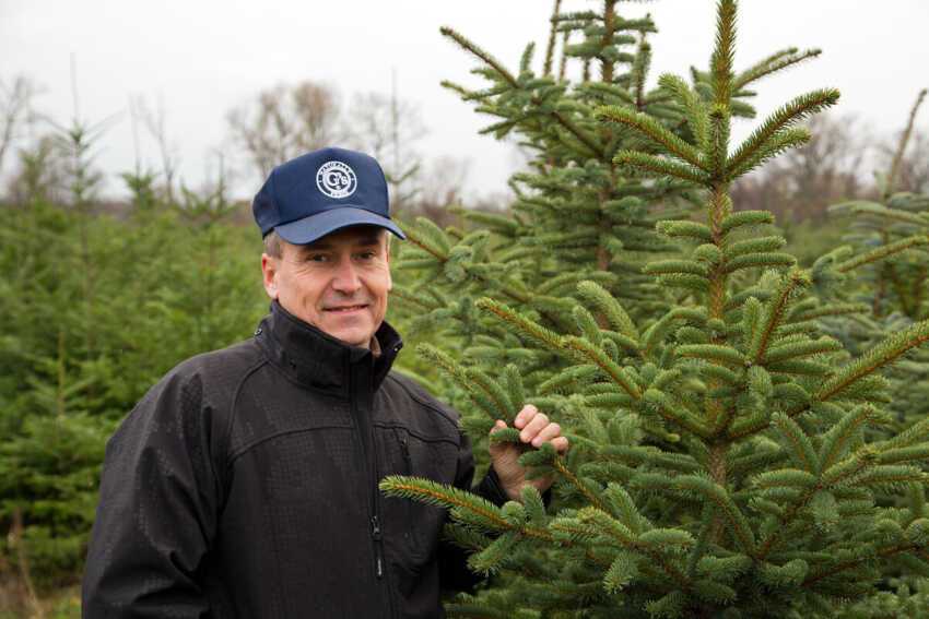 Příklad podnikatelského plánu na pěstování vánočního stromku