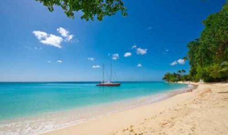 5 zuverlässige Geschäftsideen in Barbados