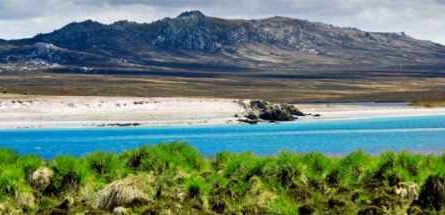 6 florierende Geschäftsideen auf den Falklandinseln