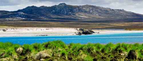 6 florierende Geschäftsideen auf den Falklandinseln