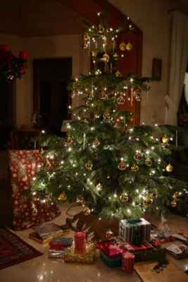 Beispielgeschäftsplan für das Wachsen eines Weihnachtsbaumes
