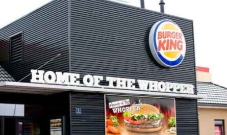 Kosten, Gewinne und Chancen des Burger King-Franchise