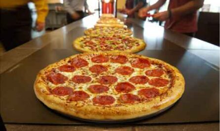 Kosten, Gewinne und Chancen von Cici's Pizza Franchise