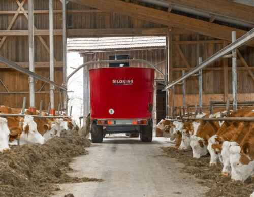 So werden Sie Viehfutterhändler: liefern Sie Geflügel, Futtermittelzusatzstoffe und Zusatzstoffe