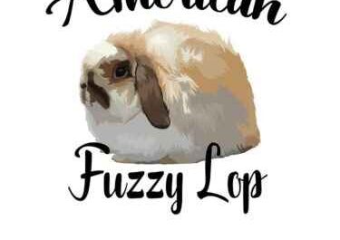 Amerikanisches Fuzzy Lop Kaninchen: Eigenschaften, Verwendungen und vollständige Informationen zur Rasse