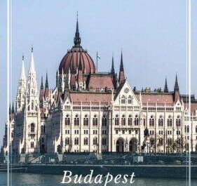 Budapest Überflieger: Merkmale & Rasseinformationen