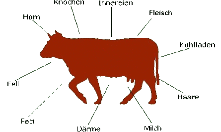 Lohani-Rinder: Eigenschaften, Verwendungen und vollständige Informationen zur Rasse