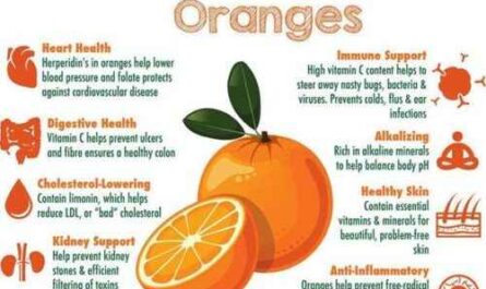 Orangenanbau: Leitfaden für den Einstieg in ein profitables Geschäft für Anfänger