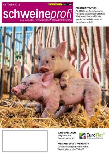 Schweinehaltung: Kommerzieller Business-Leitfaden für Anfänger