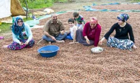 Türkei-Landwirtschaft in Indien: Leitfaden für den Einstieg in ein profitables Geschäft