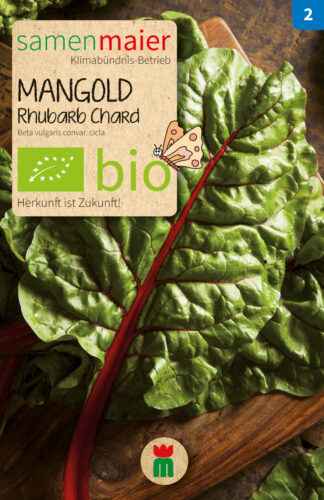 Wachsender Mangold: Bio-Blattrübenanbau im Hausgarten