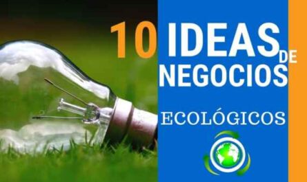10 ideas de negocios ecológicos para proteger nuestro mundo