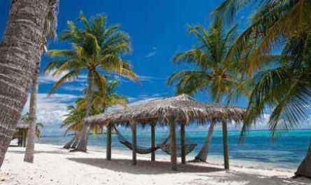 6 ideas de negocios prósperas en las Islas Caimán