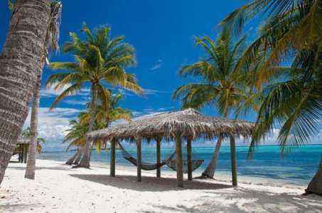 6 ideas de negocios prósperas en las Islas Caimán