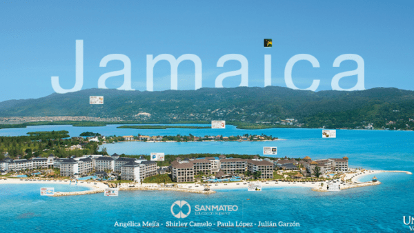 6 ideas geniales de negocios en Jamaica