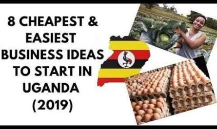 8 ideas de negocios geniales en Uganda