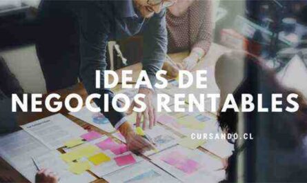 8 ideas prácticas de negocios en Chile