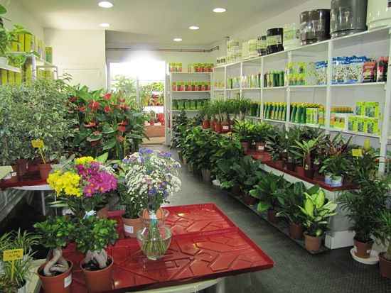 Cómo iniciar un negocio de cultivo de flores