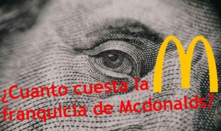Costos de franquicia, ganancias y oportunidades de McDonald's