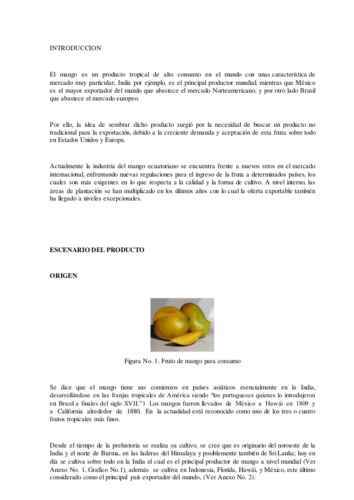 Ejemplo de plan comercial de jugo de mango