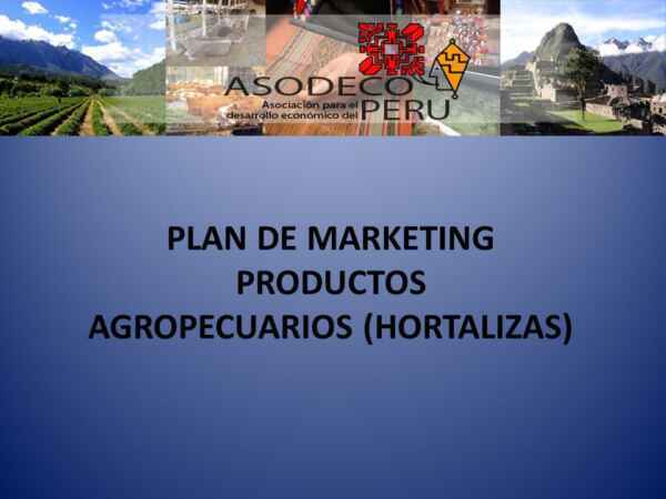 Ejemplo de plan de marketing de productos agrícolas