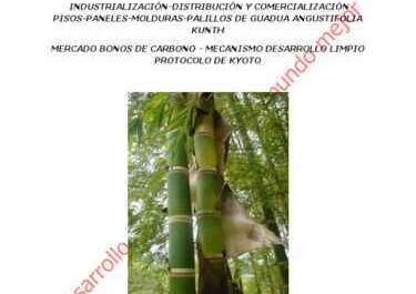 Ejemplo de plan de negocios para cultivar bambú