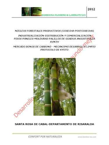 Ejemplo de plan de negocios para cultivar bambú