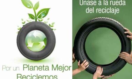 Ejemplo de plan de negocios para una planta de reciclaje de neumáticos