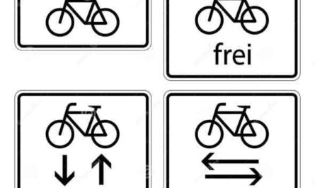 Ejemplo de plan empresarial de taxi ciclista