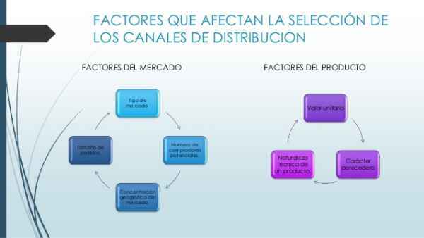 Factores que influyen en el proceso de selección de productos