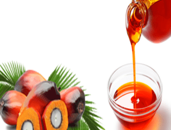 Negocio de aceite de palma: comience a comprar, vender y procesar aceite rojo