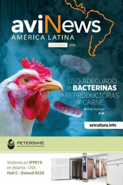 Alimento avícola: Guía de alimentación avícola para obtener el máximo de carne y huevos