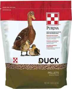 Alimento para patos: guía para alimentar a sus patos para obtener el máximo de carne y huevos