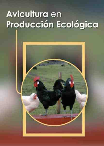 Avicultura andaluza: plan de inicio de negocio para principiantes