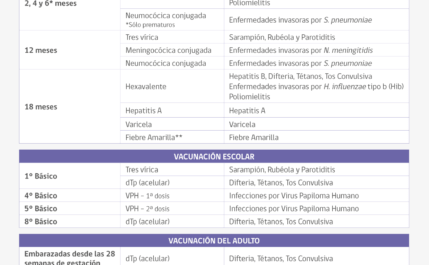 Calendario de vacunación para cabras: guía para principiantes sobre la vacunación en cabras