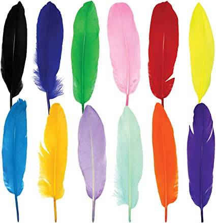 Colores de plumas de pavo: diferentes colores de plumas de pavo