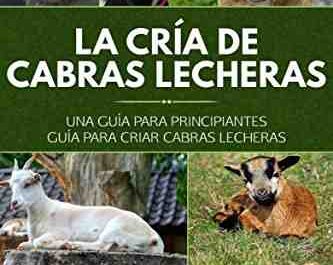 Cría de cabras española: plan de inicio de negocios para principiantes