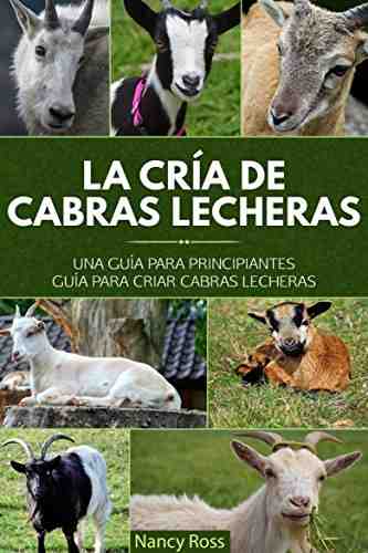 Cría de cabras alimentadas en establos: información completa y guía para principiantes